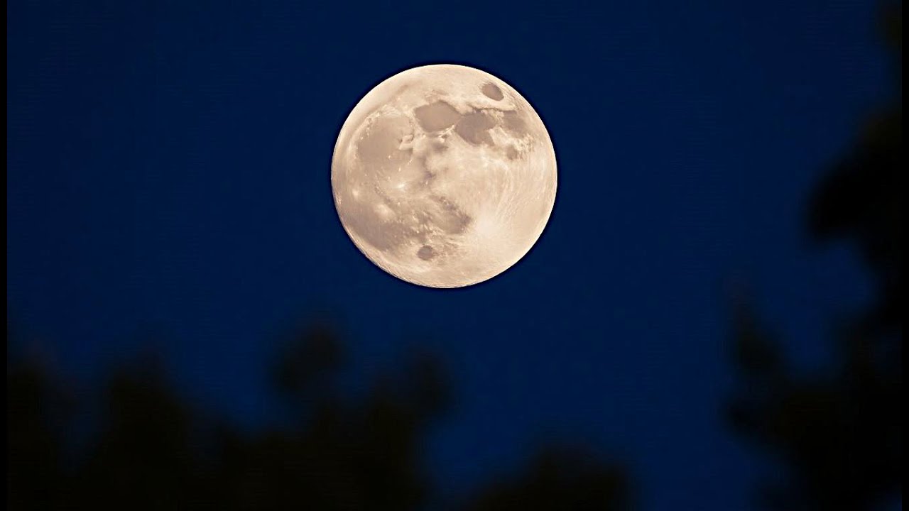 Холод января 