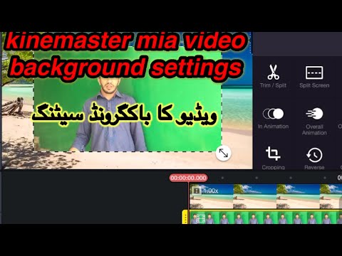 kinemaster background setting video | background change in kinemaster