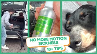 NO MORE MOTION SICKNESS - 10+ TIPS by Jitka Krizo Averis 360 views 2 years ago 5 minutes, 43 seconds