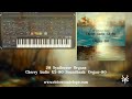 Cherry Audio GX-80 Synth Presets | Vicious Antelope - Organ-80 | Synthwave Organs