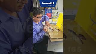 Patroneras Automatizadas