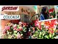 TOUR POR EL JARDIN HERMOSO  DE MI VECINA