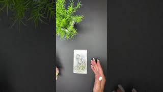 Вернут ли вам долг?