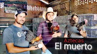 criadero el muerto, de San Julián jalisco mexico