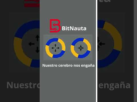 Tu cerebro te