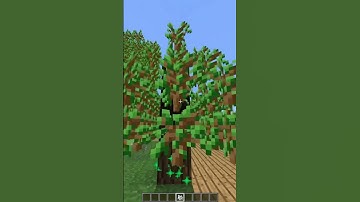 cursed texture pack of the year😍🤣😂😍#shorts#minecraft#trending