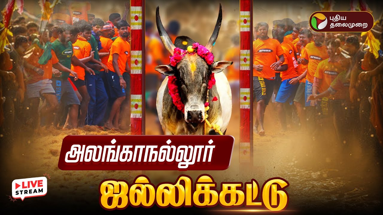 🔴LIVE | Alanganallur Jallikattu 2026 | அலங்காநல்லூர் ஜல்லிக்கட்டு - தொடர் நேரலை | Madurai Jallikattu