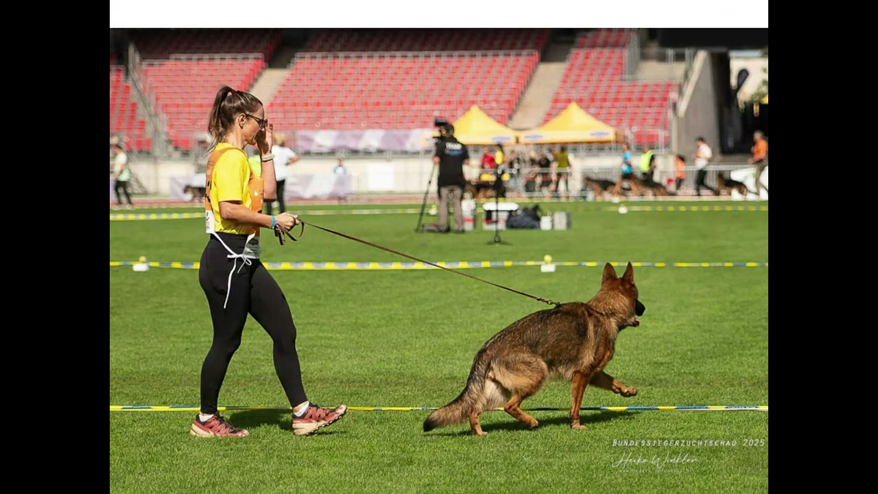 Carina of Marathon Land SG43 junior class BSZS2025