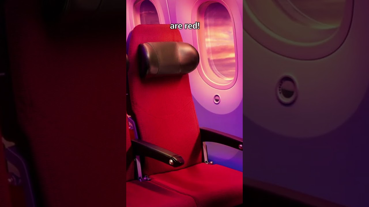 The reason why airplane seats are this colour... 😯💺