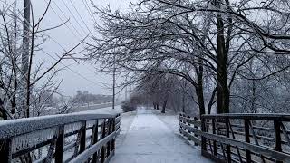 Icy Snow | Constitution Trail | Bloomington, IL | USA