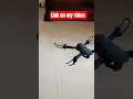 E88 DRONE FLYING NOW 🧘💖#gadget #trending #unboxing #entertainment #product #3d