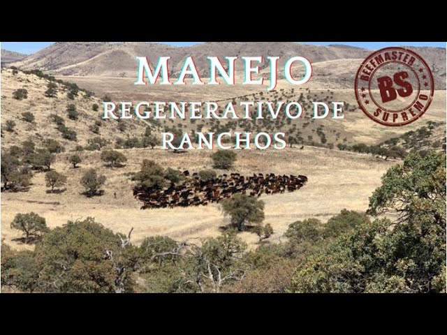 VISITA RANCHO “ESCUELA” CARRETAS. BEEFMASTER SUPREMO EPISODIO 31 class=