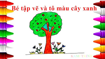 Bé tập vẽ và tô màu cây xanh cùng chị Kami | Hướng dẫn bé vẽ và tô màu