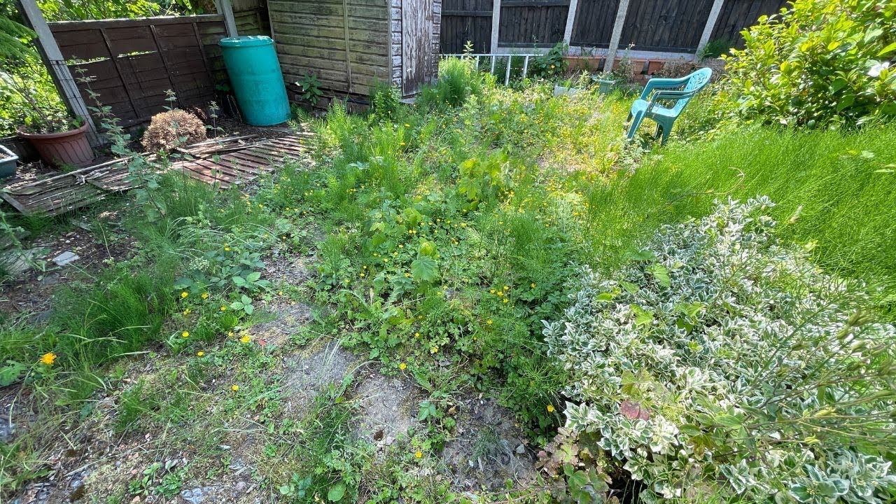 Rescuing This Garden! / Satisfying Clean Up Of An Overgrown Garden.