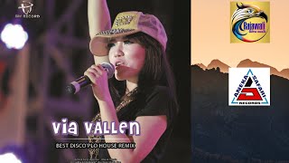 Via Vallen Remix Bw Record, Aneka Safari Record, Rajawali Mitra Musik