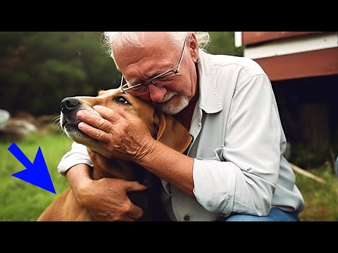 Дедушка со слезами