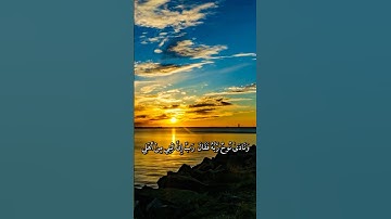 تلاوة مريحة للقلب بصوت اسلام صبحي #قرآن_كريم #قرآن #راحة_نفسية #quran #اكسبلور #قران_كريم #المصحف