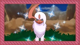 [LIVE] Shiny Absol after 1,897 REs in X + Mega Evolution (+ Shiny Mienfoo & Spoink) [Full Odds]