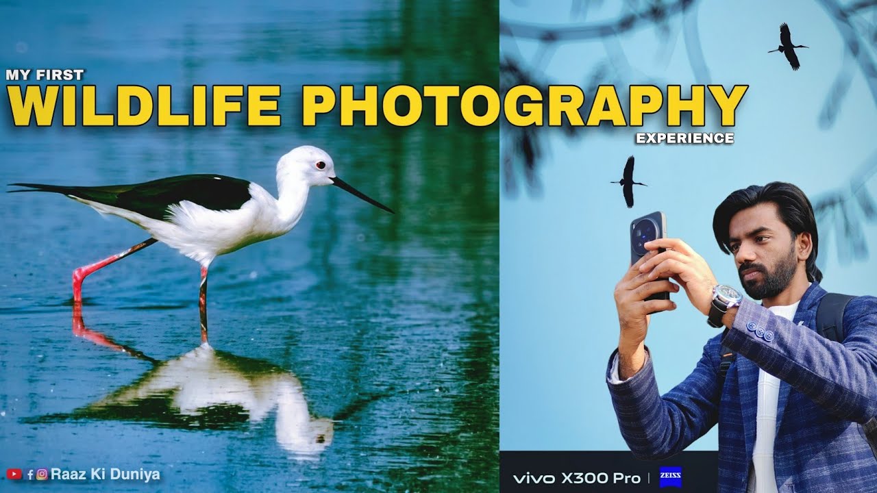 Just a Phone? My First Wildlife Photography Experience | Vivo X300 Pro