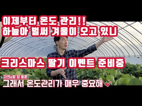 유튜브 미리보기