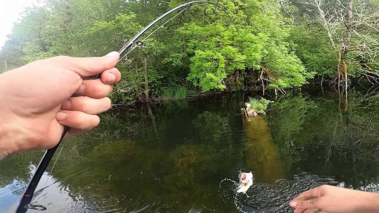 Bass fishing with my father in Washington State. - YouTube