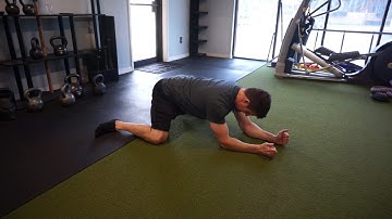 Frog Stretch P.A.I.L.