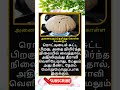 Daily life use knowledge fact💥 #tamilgk #shortfeed #tamilshorts #shorts #short #gk #tamilnadu #tamil