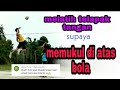 Cara melakukan spike atau smash . telapak tangan tepat di atas bola