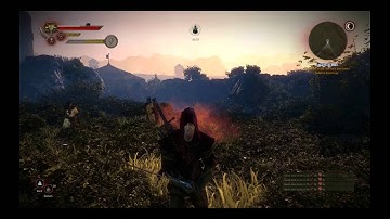 Zaklínač 2 / Wiedźmin 2 - gameplay part 166 ( censored version ) - hard difficulty