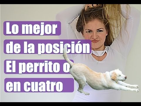 Vídeo: Cómo Hacerlo Al Estilo Perrito: 19 Consejos, Técnicas Para Maximizar El Placer