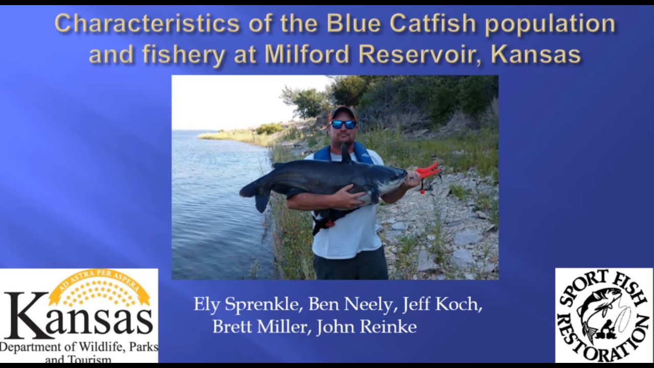 Sprenkle Characteristics of the Blue Catfish population and fishery at