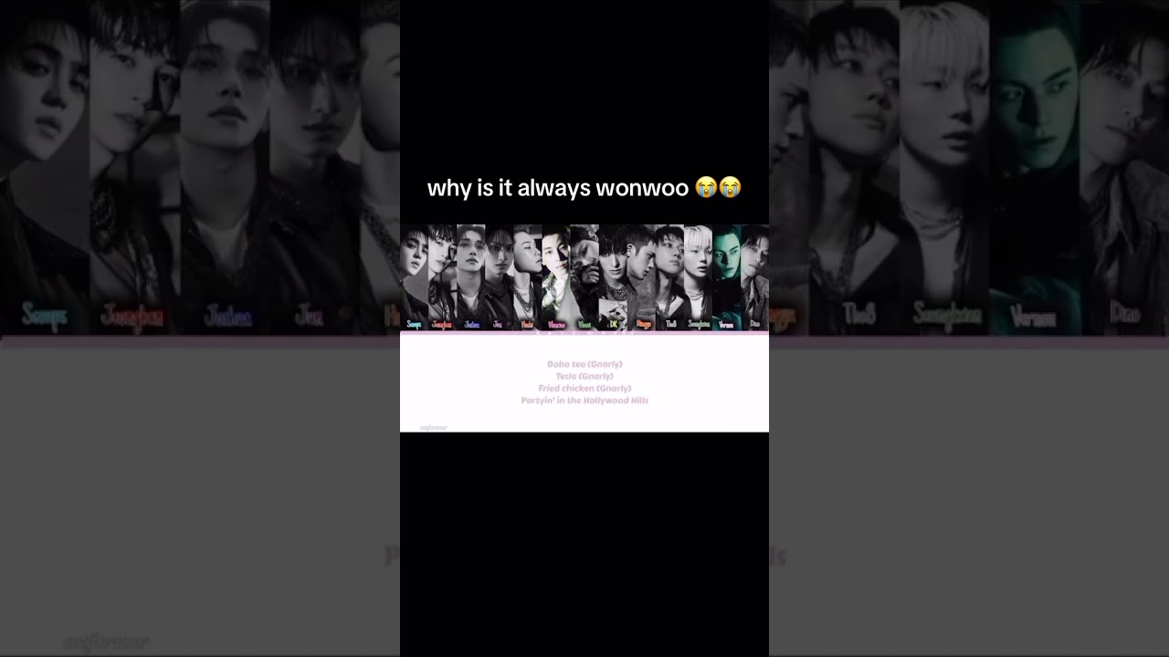 seventeen singing gnarly😭wonwoo again