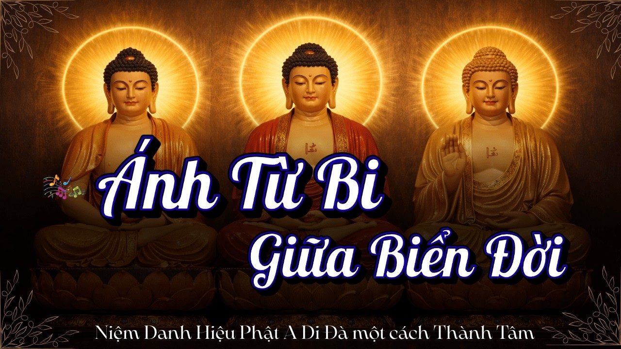 Ánh Từ Bi Giữa Biển Đời   | Nhạc Phật Giáo Chữa Lành Nghe Là Thấy Bình Yên