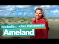 Ameland  27 kilometer sandstrand  wdr reisen