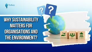 Why Sustainability Matters For Organisations And The Environment