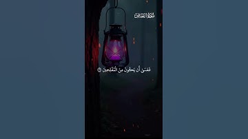 تلاوة آيات من القرآن الكريم بصوت الشيخ ياسر الدوسري