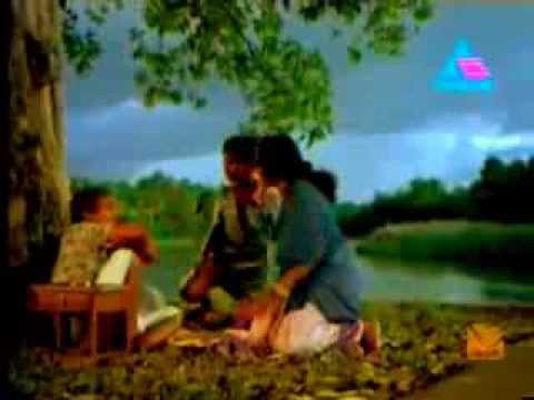 Nannangadikal njangal minnaminnikal HD   kakkothikavile appuppan thadikal songs