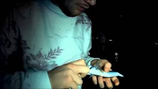 Blue Dolphin Palinuro - Pesca a bolognese a Palinuro