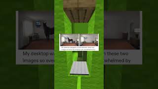 my desktop wallpaper cycles between these two images