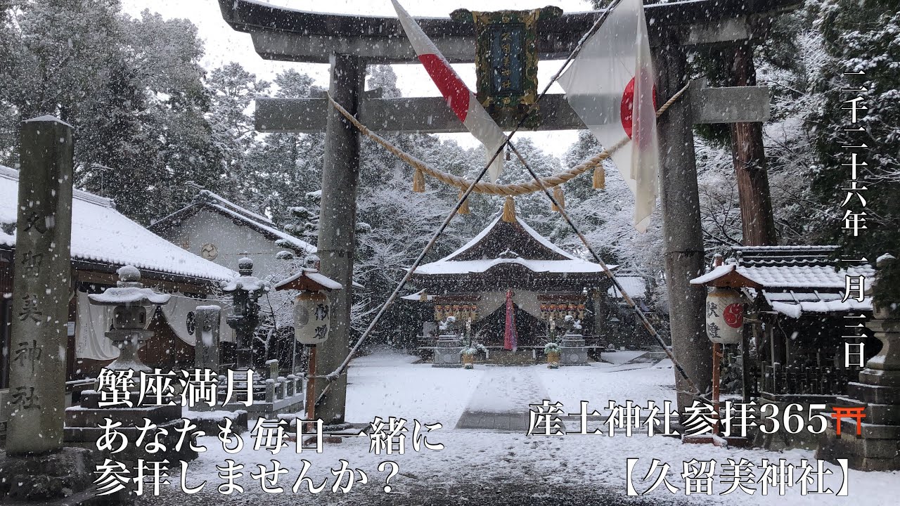 神社参拝365⛩️ 2026-01-03