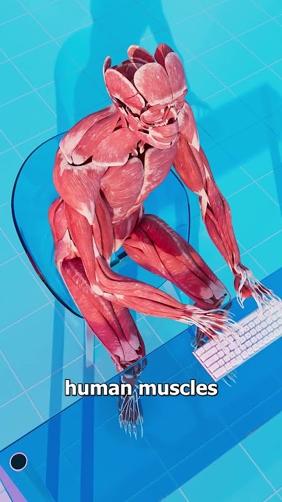 Download lagu How Strong Are Elephants? 🤔