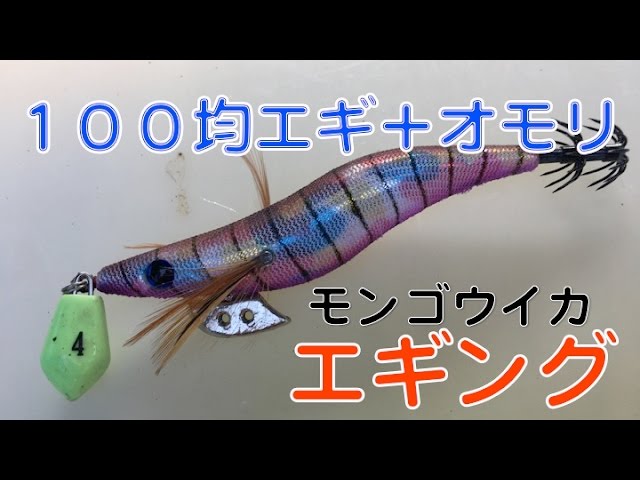 １００均エギ オモリでモンゴウイカエギング Youtube