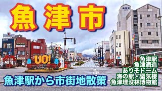 【富山県】魚津市街地散策、埋没林と美味い酒！かまぼこ！お土産散策