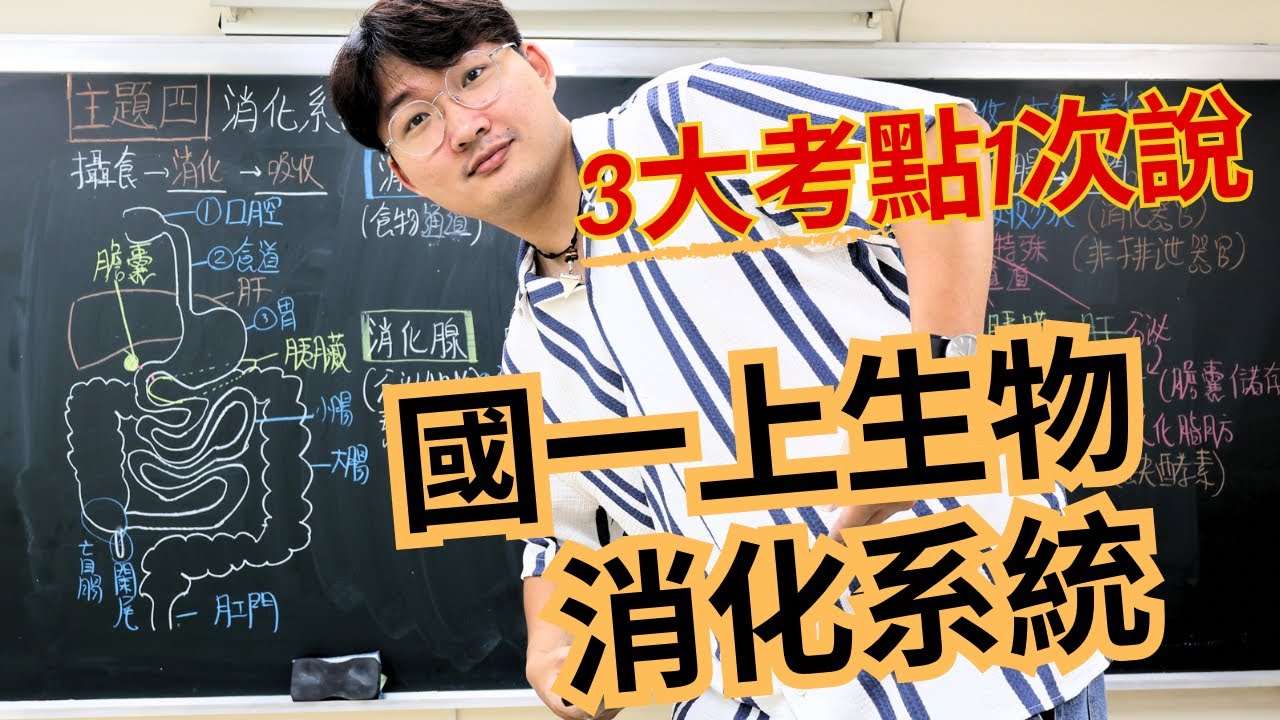 3-4 國一上生物【消化系統| 3大考點】考點翔細說