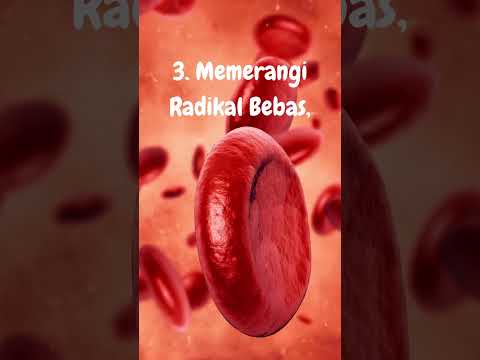 11 Fakta Manfaat Buah Buahan, Penting Dikonsumsi setiap hari
