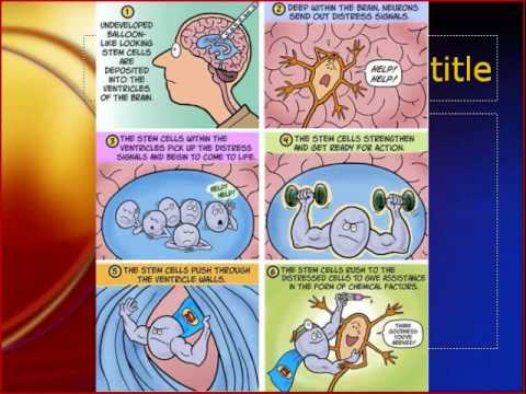 Stem Cell iMovie_0001.wmv