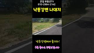 2061. 낙동강변 네모반듯한 나대지 118평 매매#shorts#밀양주말농장토지#밀양전원주택지