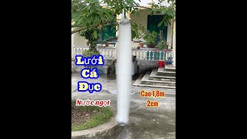 Lưới Đánh Cá ĐỤC nước ngọt (Cao 1,8m 100m 2cm) Một màn- Đánh Chìm .Zalo/ 0938.336.470 A Đẩu