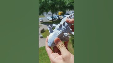 3D Printed Axolotl #shorts