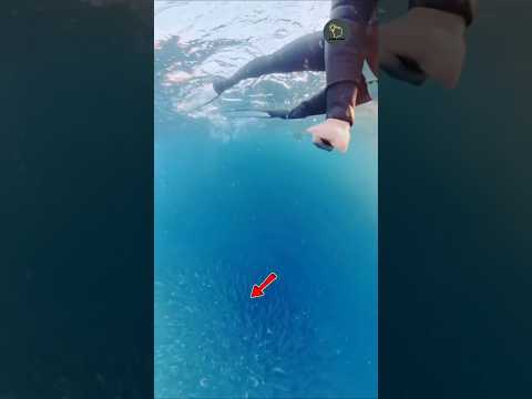 هذه الفتاة عاشت لحضة رعب لاتصدق  معلومات بحر سمك  اكسبلور معلومات عامة ترند